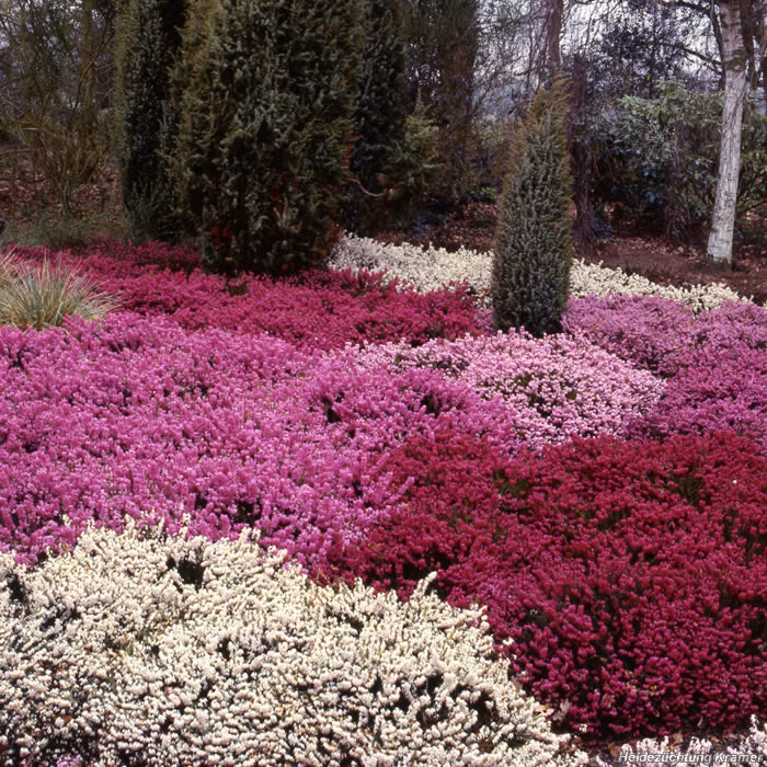 c46a849d7c2e09b9e576bc391de20cda