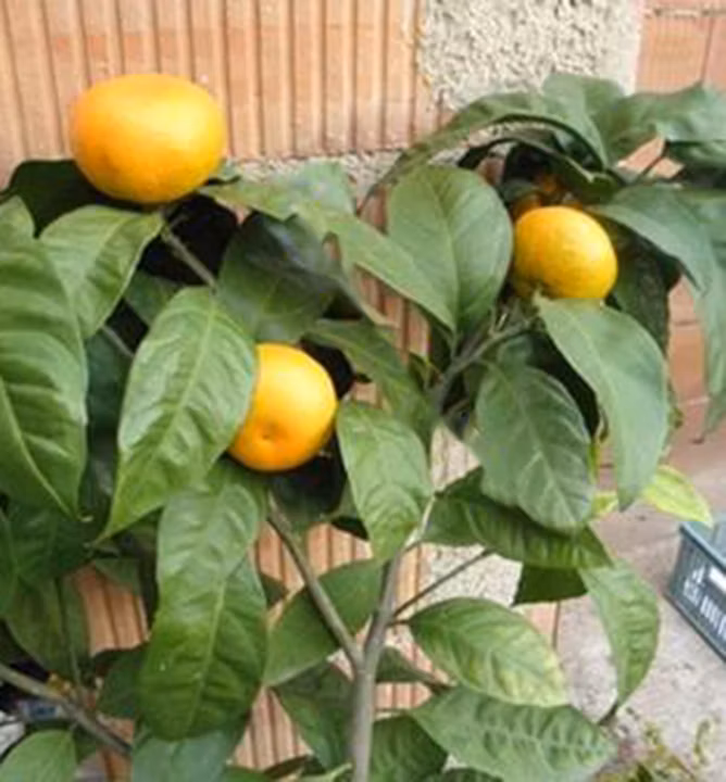 c4c1742c4deb46e189cbe19a87417498