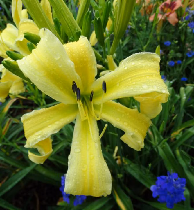 c4dc3a950cac6df3ac391600fce05646