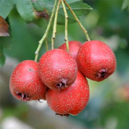 c4ebfe2accf4ac5d2797f33d4bca6597