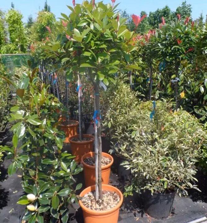 c500e13a9f6100c0bcccee094bb3c247