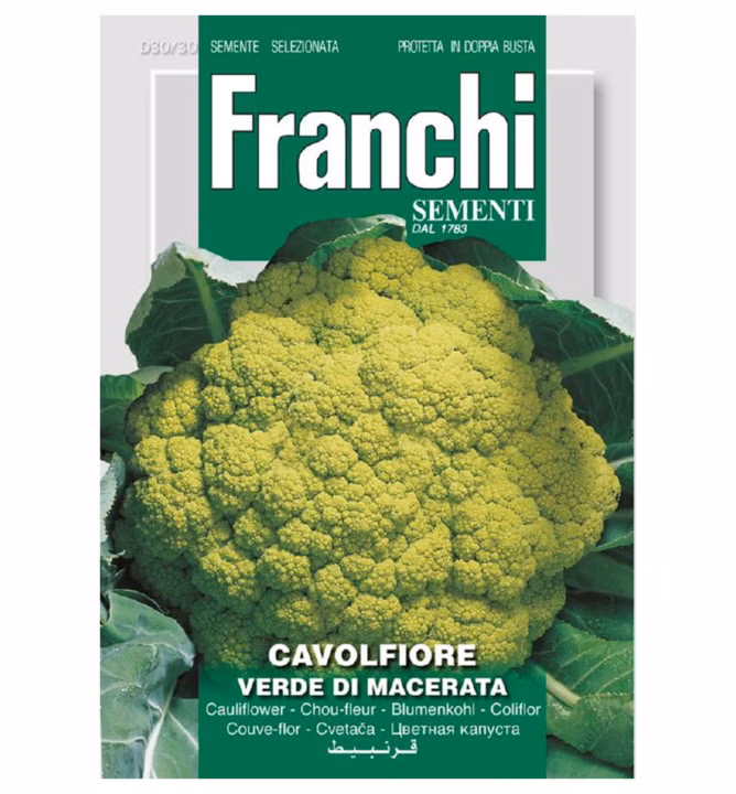 c50cf0575237b8a98fdd3c723e97d8cf