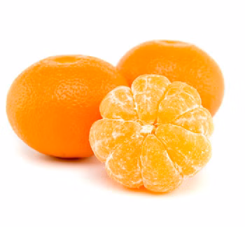 c515b5ba4ce61634a2c87e2bc8278633