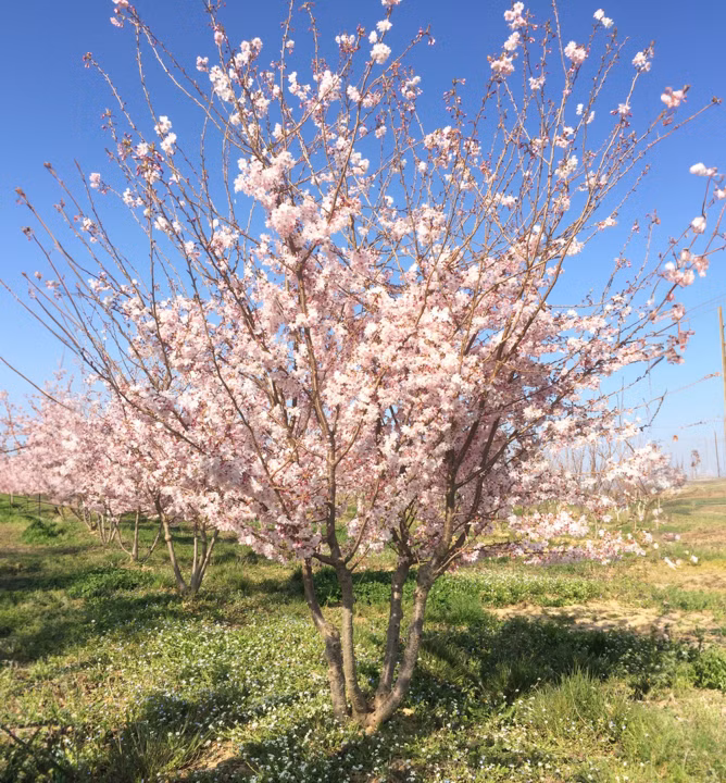 c54e1f120ed4bb2574e0782b0159ca38