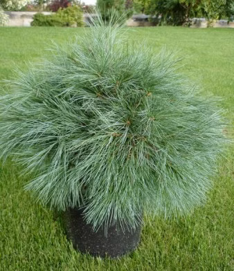 c57a02aab2899931886cd7e86f6a408b