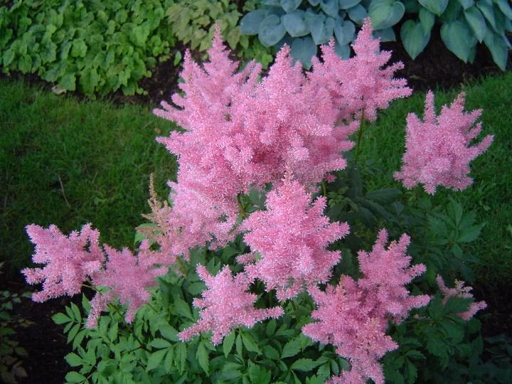 c599a12a07100976ab35a8baebabd9c2