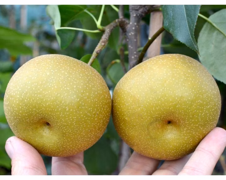 c59fe04b40c017fbb254f3c727b8cb32