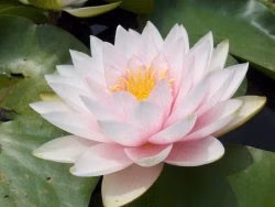 c5a269d6601af2557014ab3bd90b6180