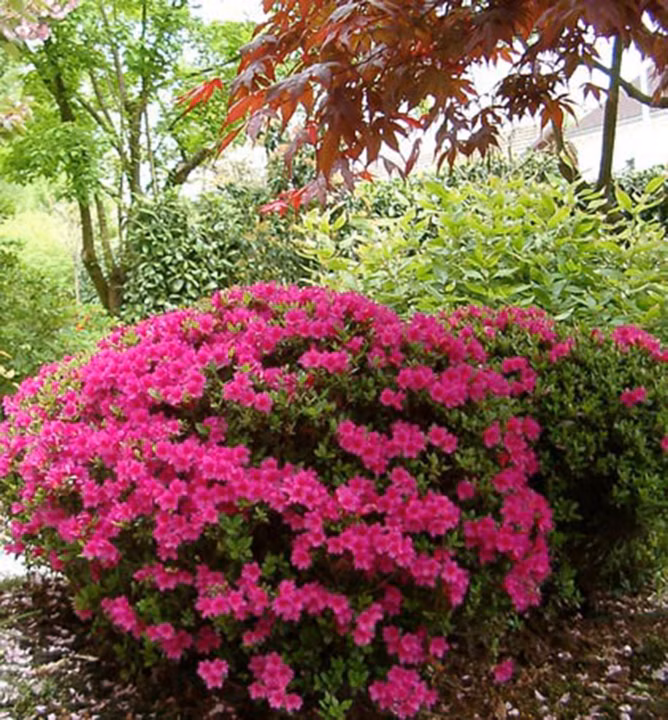 c5cb71ec1d96b3e3cd85148a8190f4fd