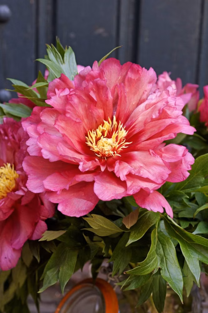 c604ee05944d3e8d972c0f8895bfae15