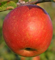 c60e0a66ff19de61e7aad2f4a65f5efa