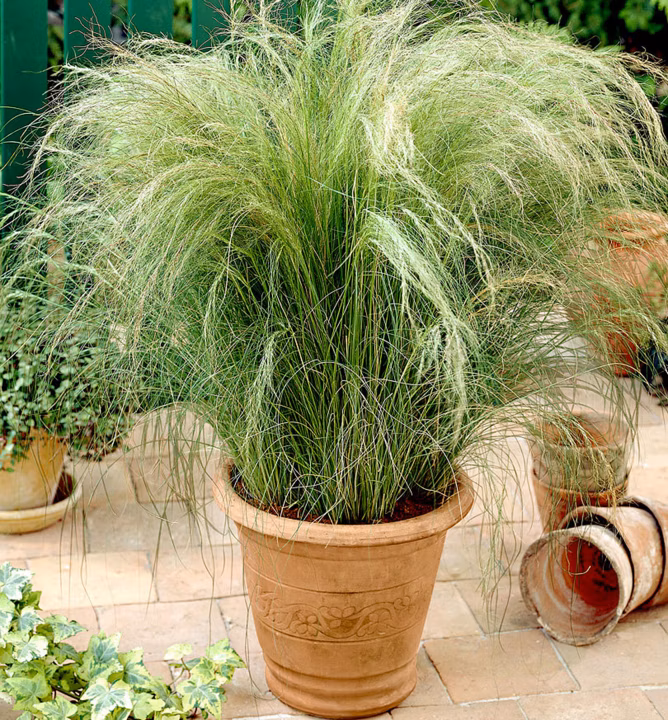 c62206a4494b80d1f0288ba25eed0582