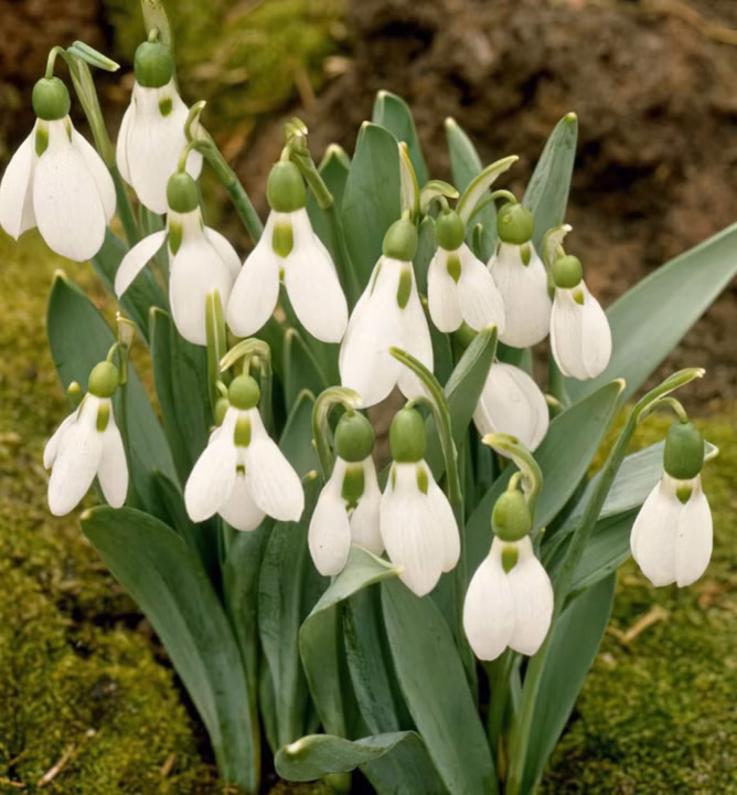 c635c37e394fa2b436eba69e0b1c6d6f