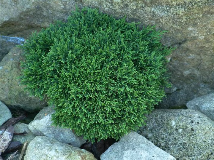 c684dda174cd6f51cb85009c7eea0b04