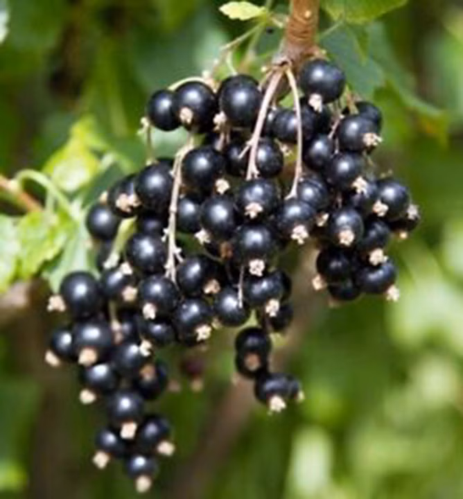 c6a2c151e6e2f5789367001083befc6a