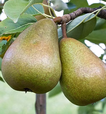 c6e4d755569791636ee07c950f55812b