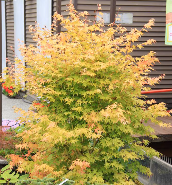 c6e8de9cf73a0225b65ceb1f1dfef760