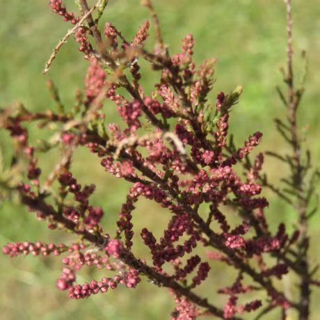 c6e9cb36cbb7cf07132a9a9eb1303816