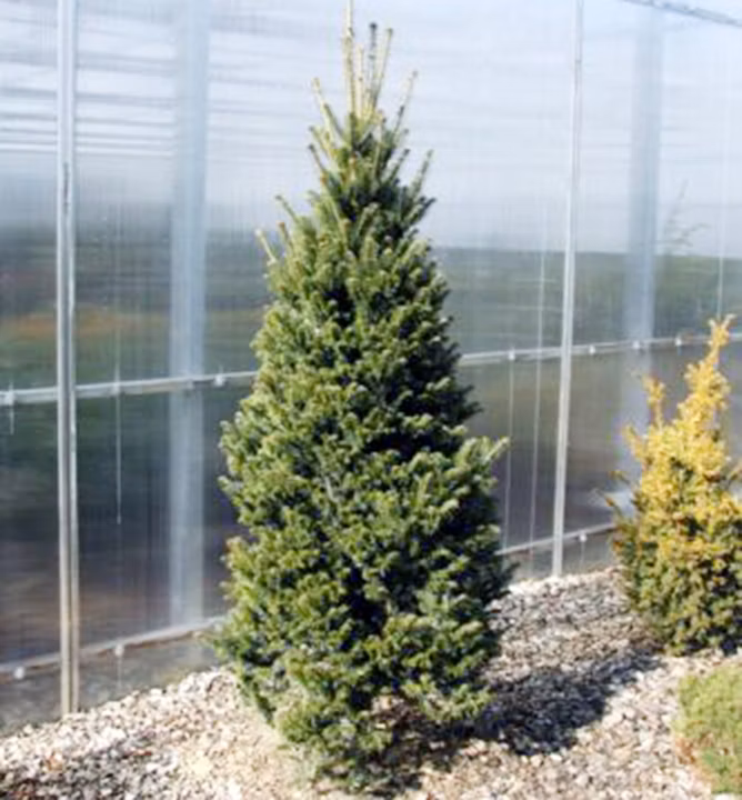 c7073fc014d53e5ce8f58f34a165d878