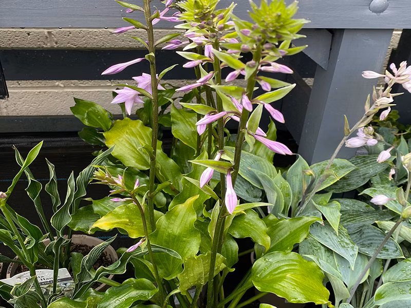 c72f83724033d72e1b211015612ccf78