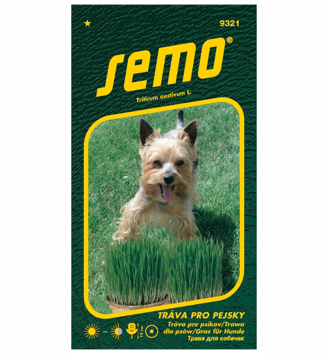 c733ffeafb7a9b6ff81d49f491051622