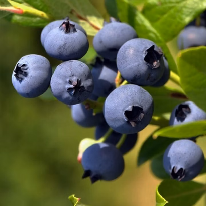 c74785993ce2fe3de341b487c21d3e36