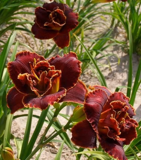 c761e6a9d775e757fba40330b4bc362a