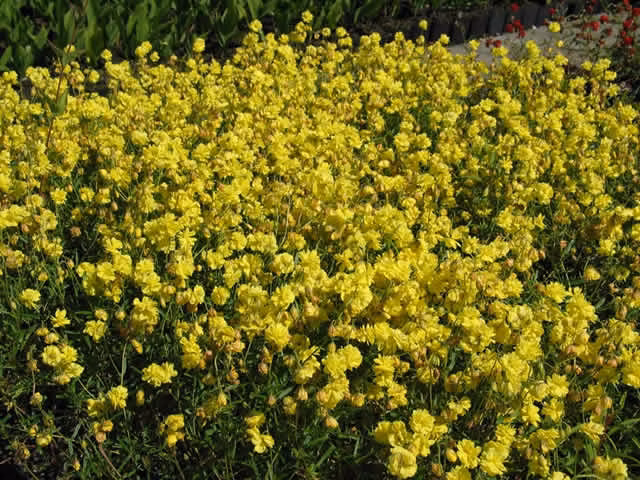 c77bd6943c0ec77ae9a93d5dbd191a8f