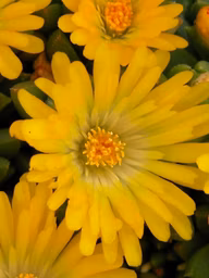 c7c984b5e0df0340a273367ce1b06a1f