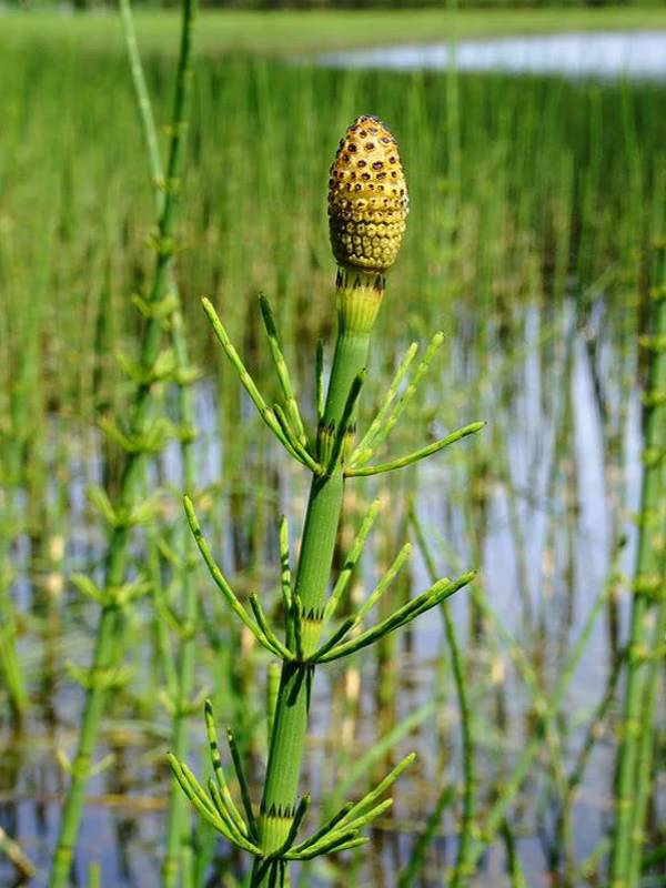 c7ed0b38bff7afb28bfc56c7129f5715