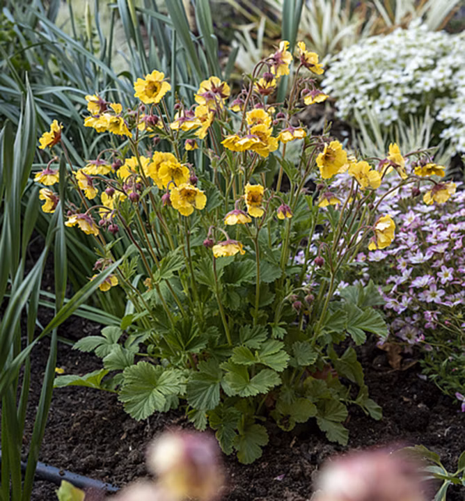 c7eed7e2a7ec05e5ce0779234705da40