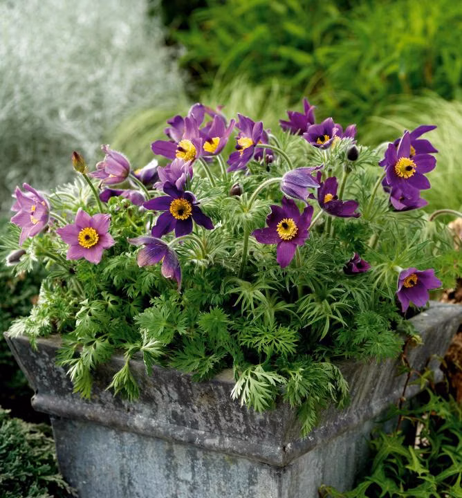 c81f07d0c04c4cc60457e309380ef68a