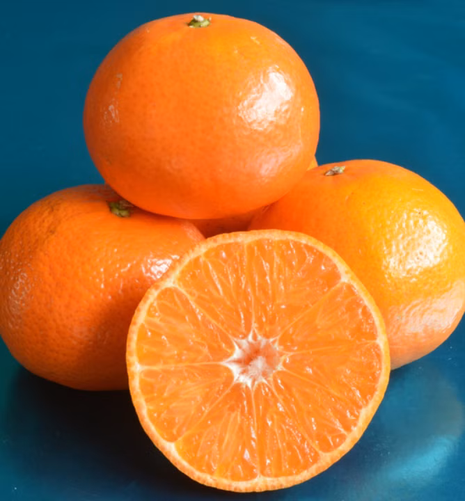 c858ef4c8d8cd555538e1036a9fdb43a