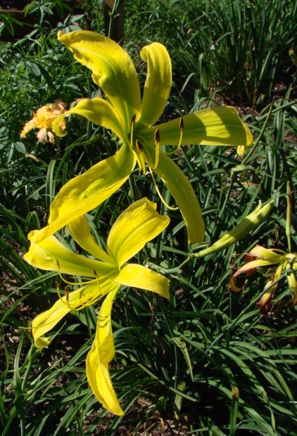 c889aca6c43447227da0343556f44ef8