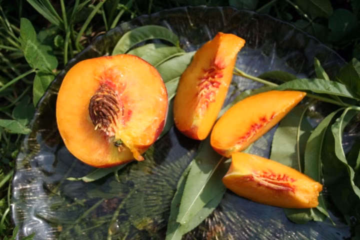 c89674dc4bdefc6c028824eb4bf134cd