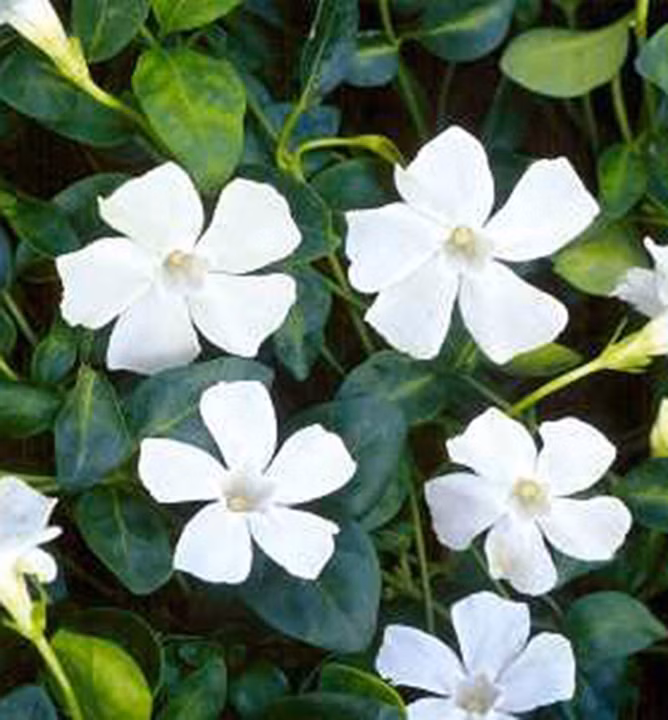 c8b7afd952dd49bc61cdd384455dd542