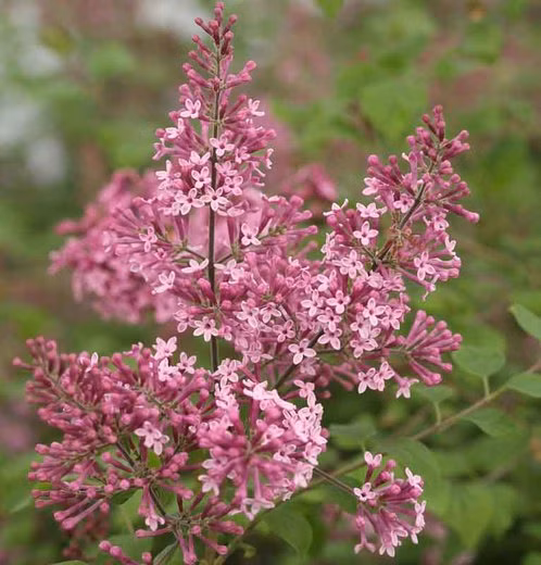 c8e3213ab4c0ab6284c7d7f02f589edf