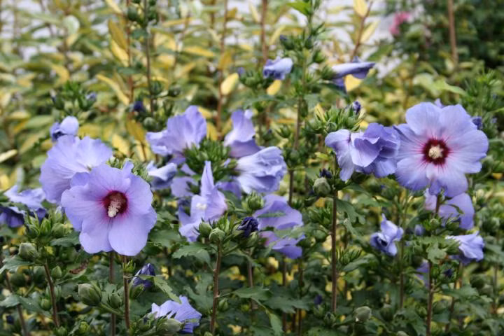 c90c462014952760bba6b057060cbfc6