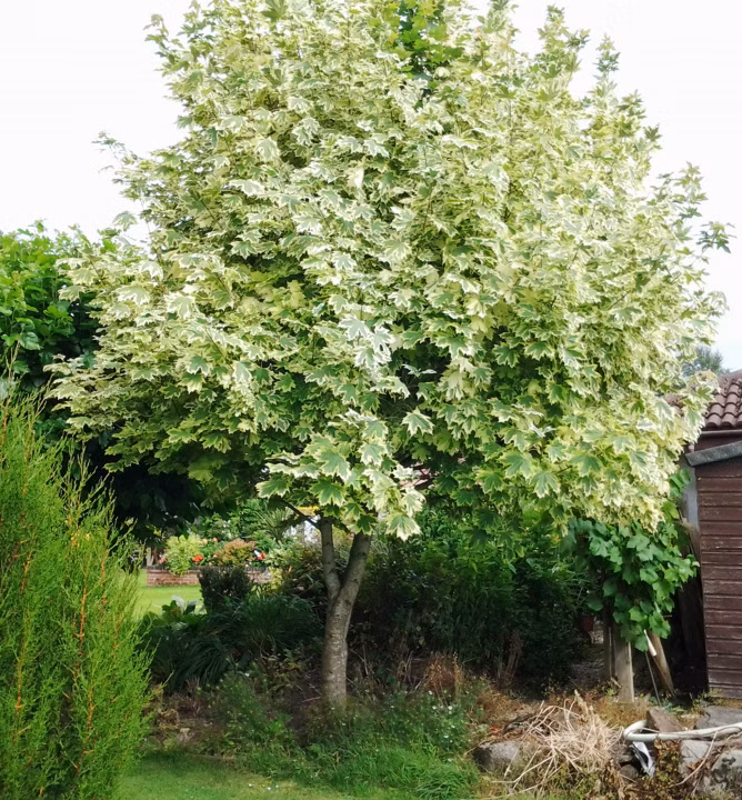 c935c4349035f470a736e52014daa8cd