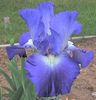 c95759996e6ed6b6af6470af5b704971