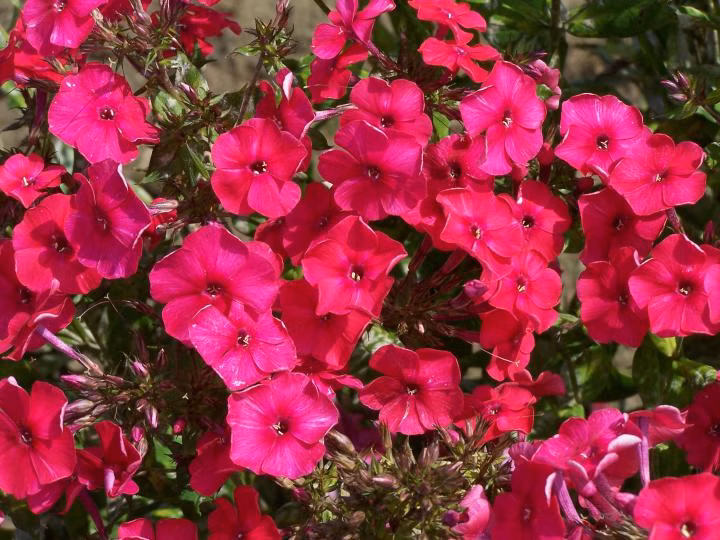 c95bf4889942452cdbcc9323f2a7ed62