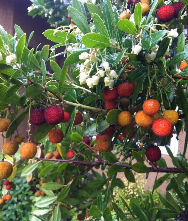 c96d5c53c3816cb42113da9032f46f6b