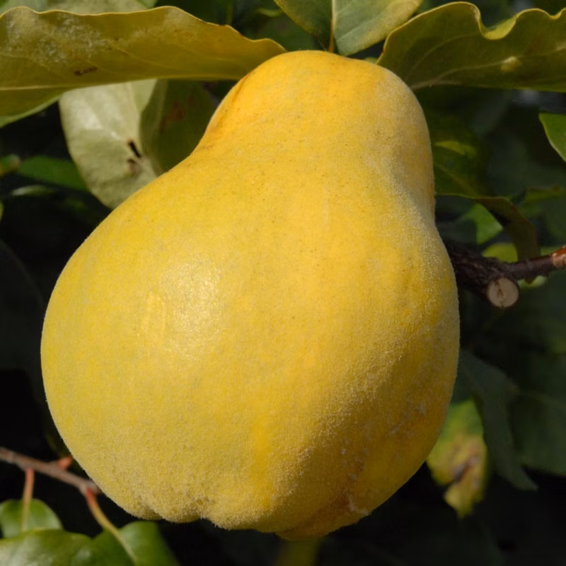 c96eb45a7a22af9a1b7e6792728c3641