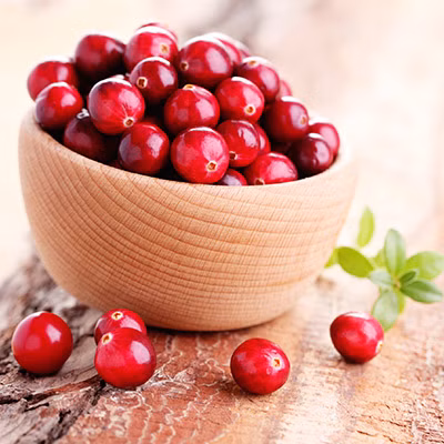 c9740d69fe8bbc4df95f1f85337e5bfb