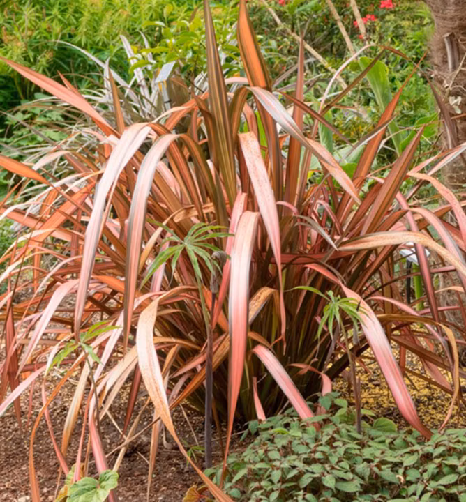 c9c4a86eb16cd7841e8dc54afe428064