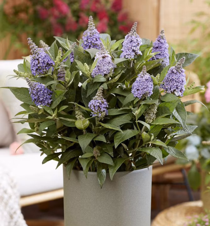 ca7445f79a3363a38a22f82e0fe06f7a