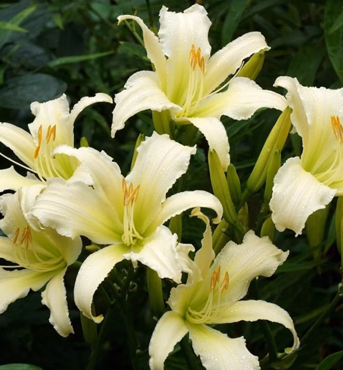 caba36840ab1c53c6a9eb287c57e3ee1