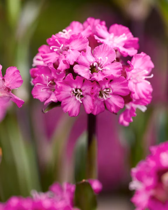 cacbd0b756df5d6904dbf3723c5aa576