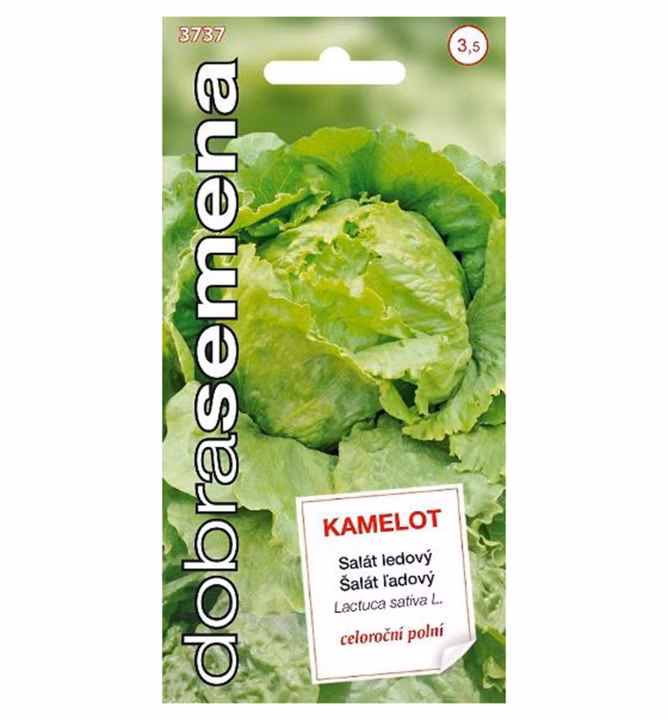 cae12484cdbc19244ad13a221827e538