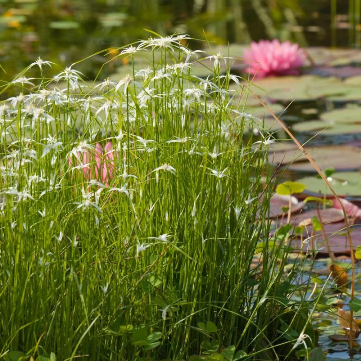 cb4fd07b3d24e96714a79fb1d0f8f6d6